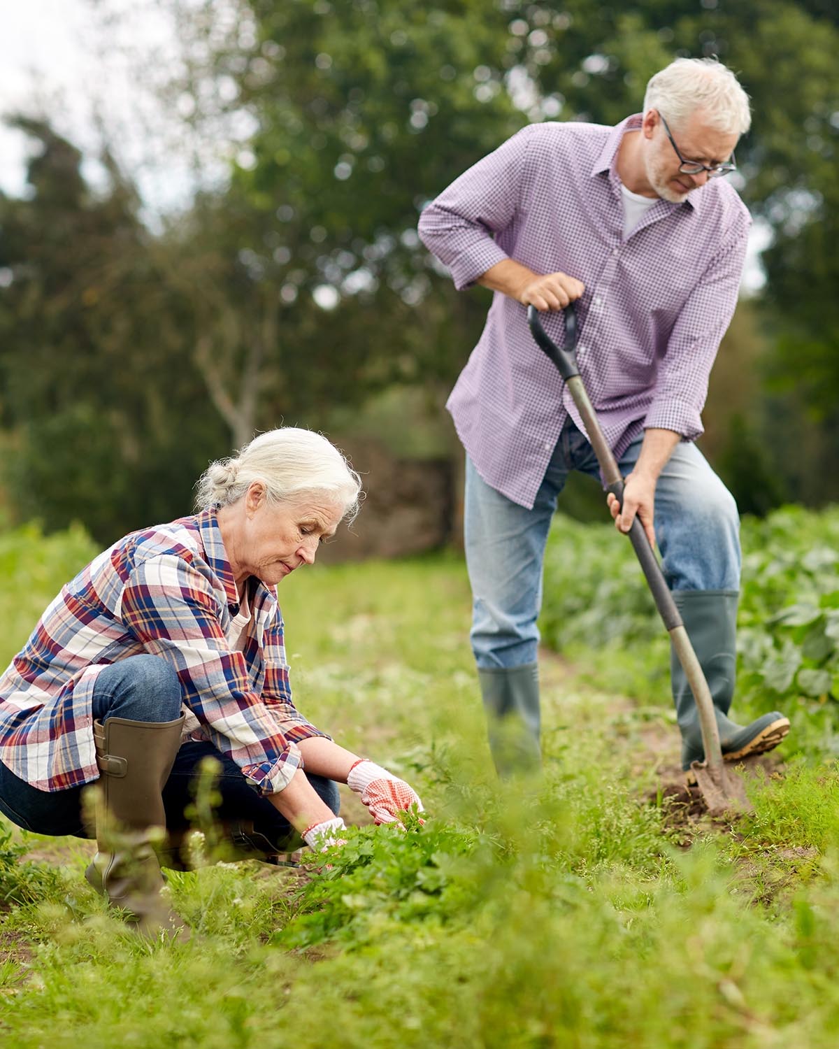 senior couple working in garden or at summer farm Manual laborers